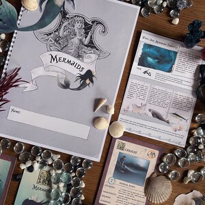 May include: A mermaid-themed educational game with a workbook, cards, and mermaid cutouts. The workbook has a title that says "Mermaids" and a space for a name. The cards have a brown background with white text and illustrations of mermaids. The cutouts are black and white and have a mermaid design.