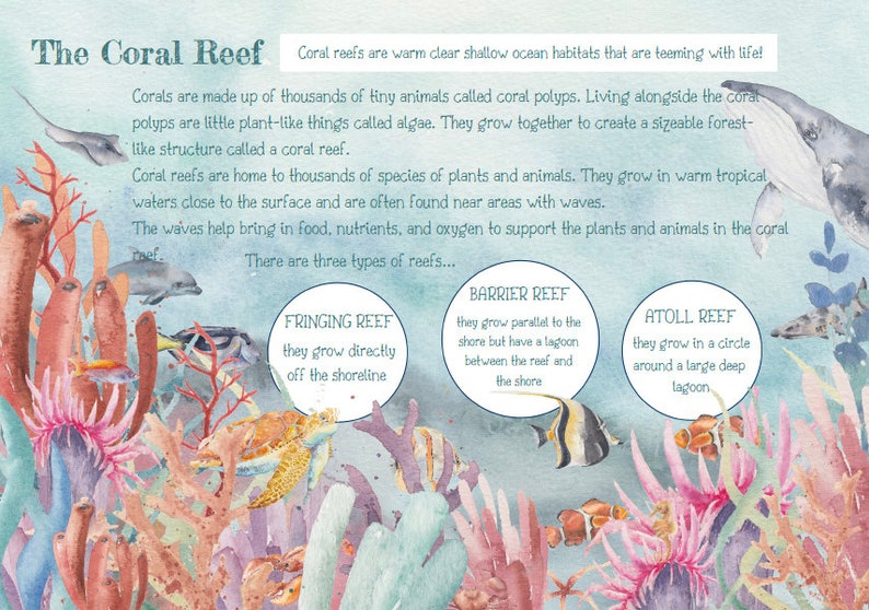 DIGITAL Coral Reef Educational Pack Coral Reef Worksheet Etsy