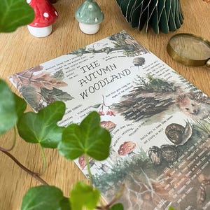 Puede incluir: Un póster educativo rectangular titulado The Autumn Woodland que presenta ilustraciones en acuarela de un erizo, caracoles, setas y bayas, acompañado de texto descriptivo sobre la ecología forestal, la flora y la fauna en otoño.