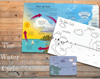 Estudio digital del ciclo del agua / Recurso científico imprimible para niños y aulas