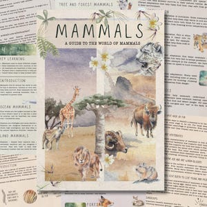 以下が含まれることがあります： MAMMALS A GUIDE TO THE WORLD OF MAMMALSというタイトルの長方形の教育用ポスター。キリン、ハイエナ、ライオン、ビッグホーンシープ、バイソン、ユキヒョウの水彩画が描かれており、哺乳類の生息地や適応に関するテキストで囲まれています。