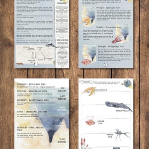 DIGITAL UPDATED Oceanography Lesson Plan | 4-Week Homeschool Unit Study | Oceans Science Curriculum PDF image 2