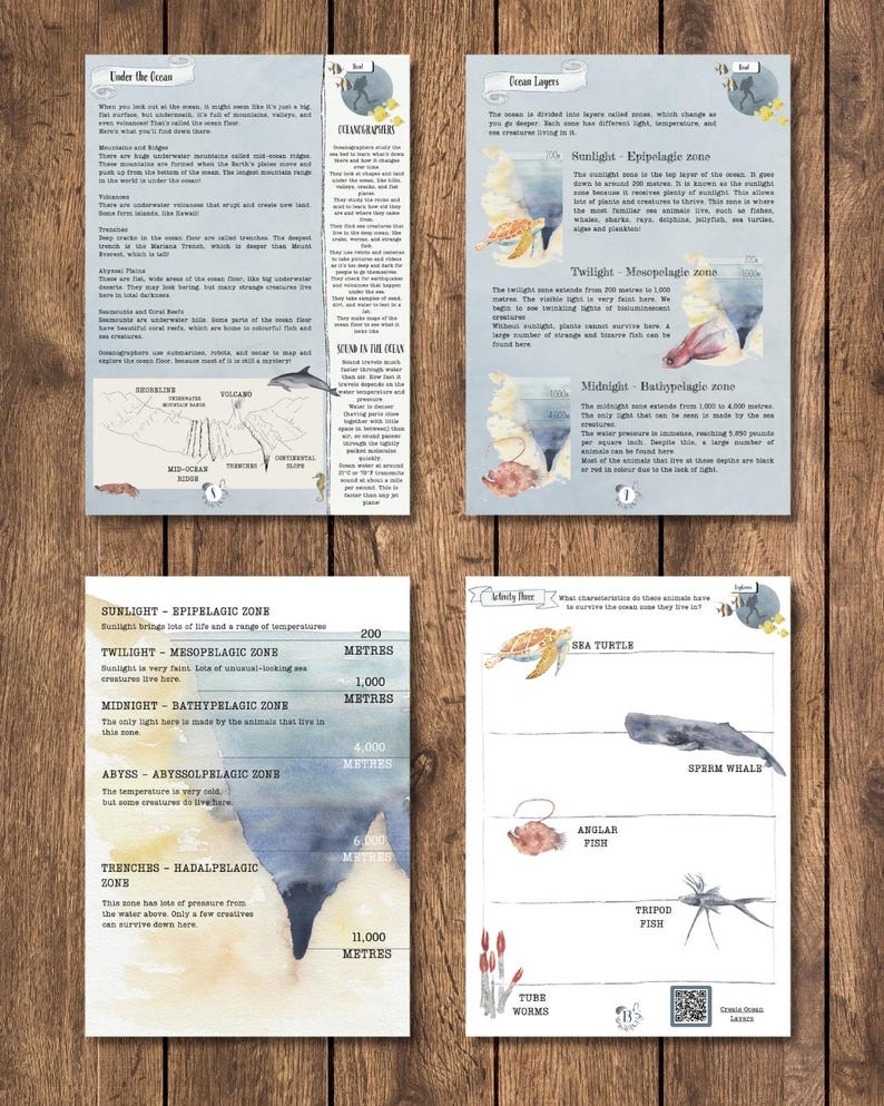 DIGITAL UPDATED Oceanography Lesson Plan | 4-Week Homeschool Unit Study | Oceans Science Curriculum PDF image 2