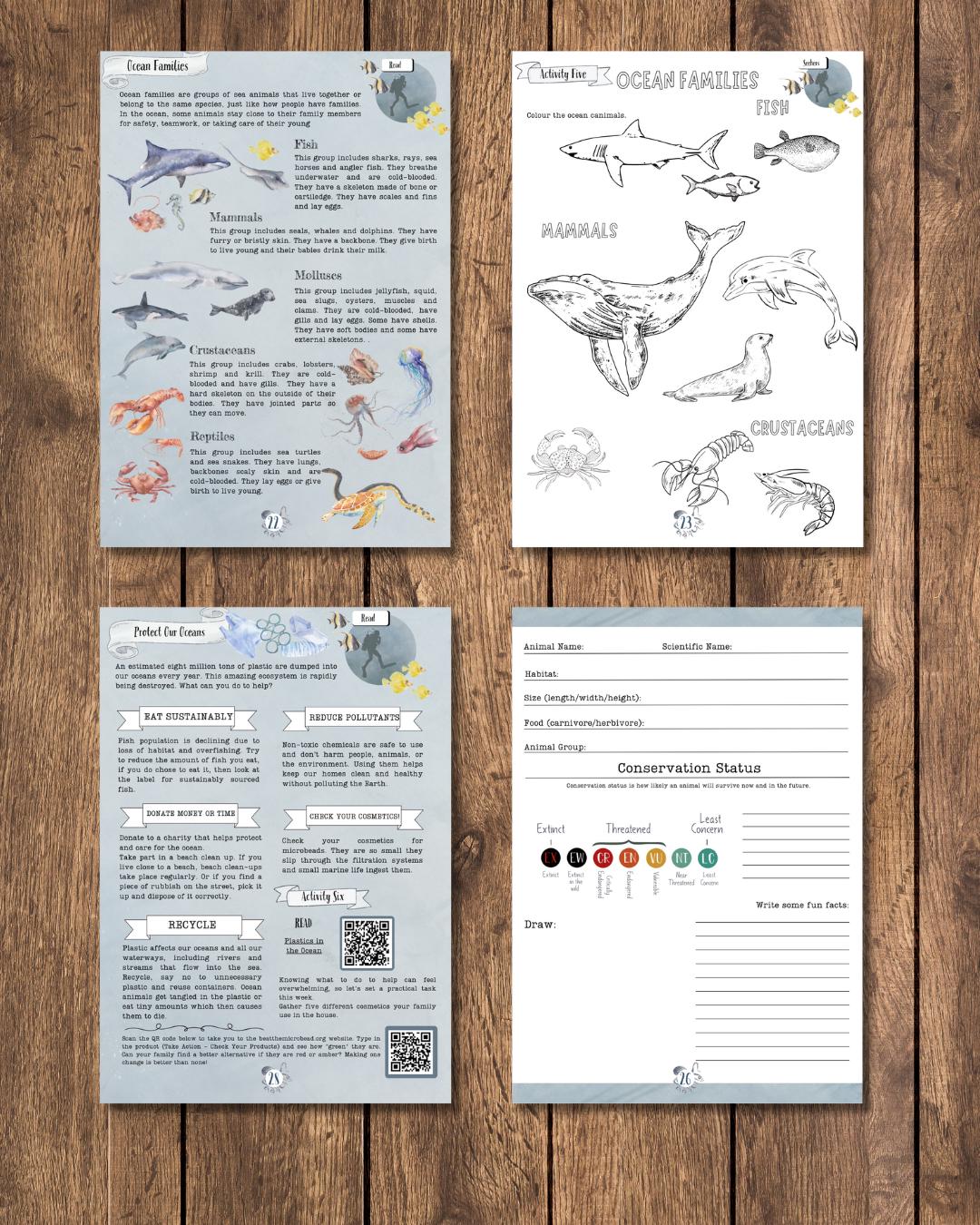 DIGITAL UPDATED Oceanography Lesson Plan | 4-week Homeschool Unit Study ...