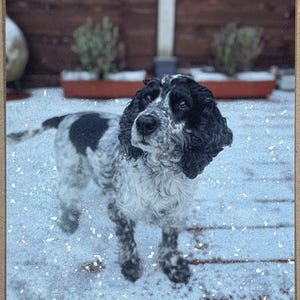 Personalised Glitter Photo Print – Hand-Finished Sparkle Art (Framed/Unframed) image 3