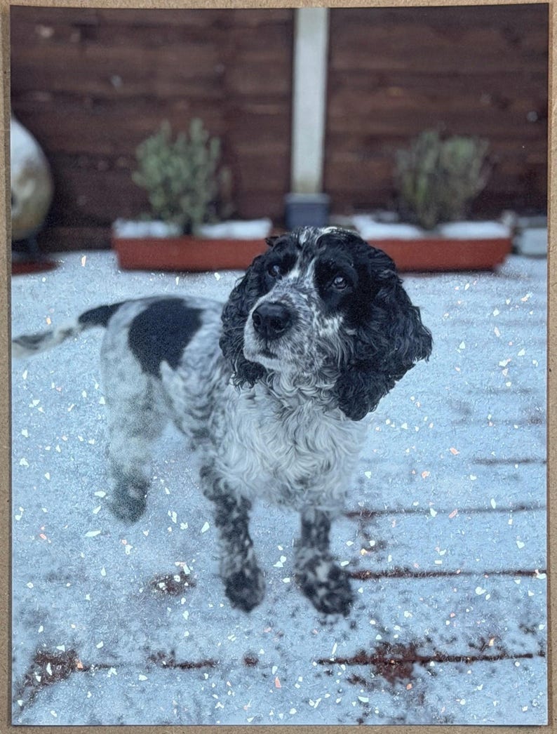 Personalised Glitter Photo Print – Hand-Finished Sparkle Art (Framed/Unframed) image 3