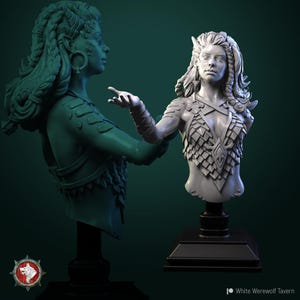 May include: A detailed bust of a woman with long, braided hair and intricate armor. The sculpture is in a light gray color and is mounted on a black base. The bust is set against a dark teal background.