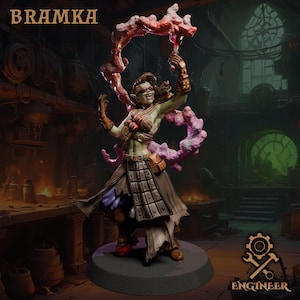 May include: A detailed figurine of a female fantasy character, holding a red and pink cloud-like object. The figure is green-skinned, wearing tattered clothing, and has the word "BRAMKA" above it. The Engineer logo is in the bottom right.