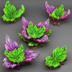 Peut inclure: Cinq plantes miniatures fantastiques avec des feuilles vertes et violettes vibrantes. Les feuilles présentent des détails de veines complexes et sont posées sur une base rocheuse. Les plantes sont disposées sur un fond gris.