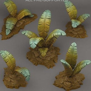 Puede incluir: Múltiples plantas de plátano en miniatura con hojas grandes y texturizadas en tonos amarillo y azul verdoso. Las plantas están sobre bases rocosas marrones. La imagen tiene el texto "ALL PRE-SUPPORTED" en la parte superior.