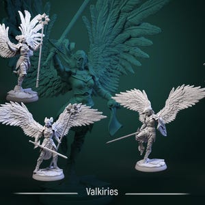 May include: Several white Valkyrie figurines with large feathered wings, swords, and staffs. The figures are on small bases, with a larger, shadowy Valkyrie figure in the background. The word "Valkyries" is written at the bottom.