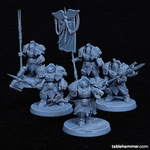 May include: A group of light blue miniature figurines of armored warriors, each with unique weapons and poses. One figure holds a banner with an emblem. The miniatures are on circular bases, suggesting a tabletop game theme.