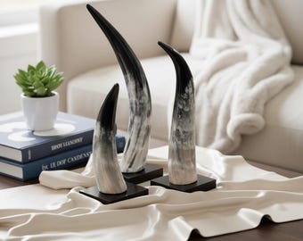Decorative Horn Set: Modern Rustic Table Decor Accent on Black Base