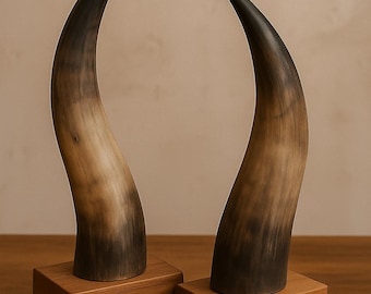 Natural carved Horn Display Pair | Rustic Wooden Base Home Accent