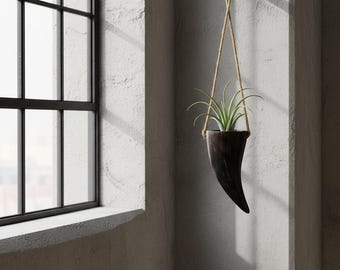 Ox Horn Air Plant Hanger: Boho Wall Decor, Handwoven Jute Rope