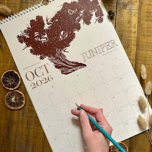 Peut inclure: Calendrier mural pour octobre 2026, avec une illustration d'un genévrier brun. Le calendrier est ouvert au mois d'octobre, avec une main tenant un crayon turquoise. Des tranches d'orange séchées et des éléments décoratifs entourent le calendrier.