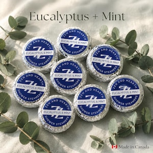 Eucalyptus Mint Shower Steamers, Aromatherapy Bombs, Spa Reset, Handmade Canada