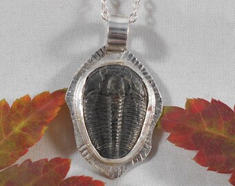 Utah Trilobite Fossil Necklace in .925 Fine Silver Utah Fossil with Cheeks Showing Fine Detail with Sterling Silver Chain Necklace 862