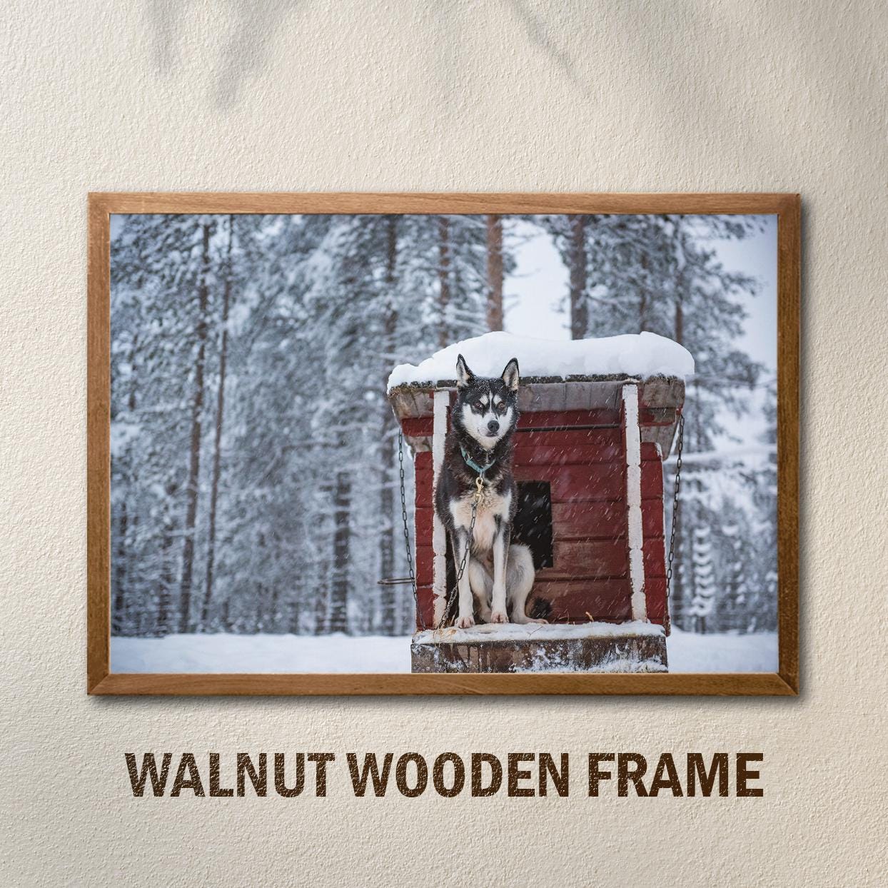Willem Dafoe Togo Sled Dog Togo Dog Print