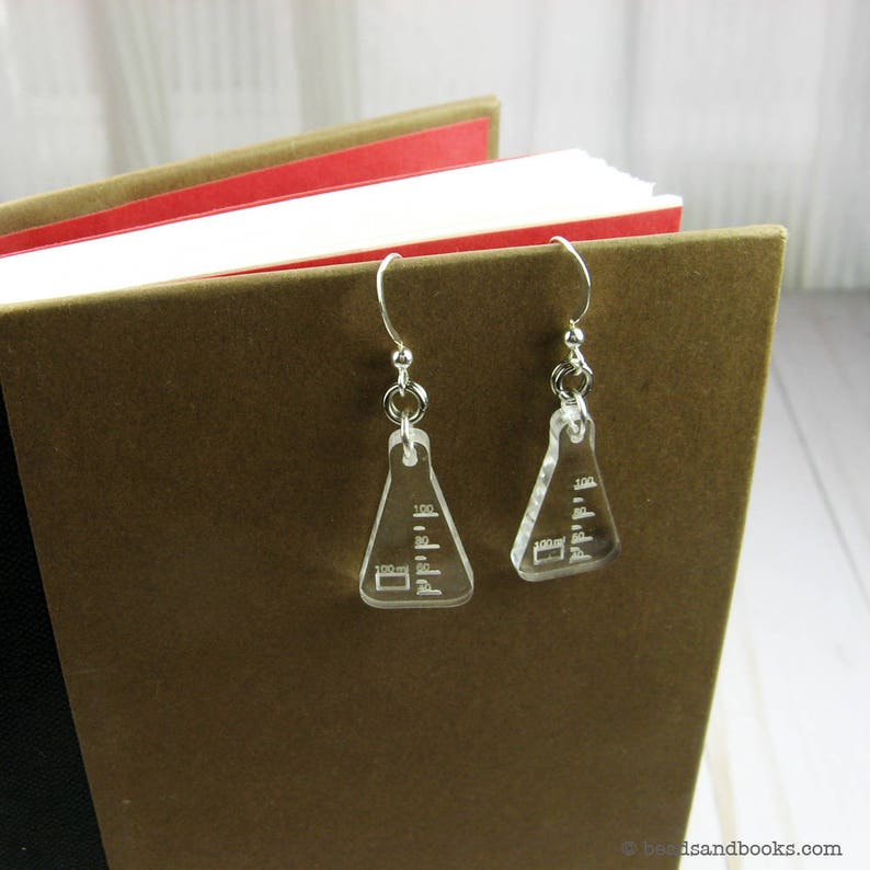 Science Flask Earrings: Chemistry or Biology Gift bild 2