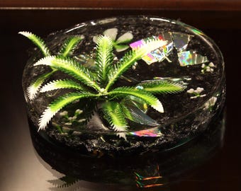 Starburst Fern Alien Terrarium | E.T.: Exo-Terrarium Resin Art
