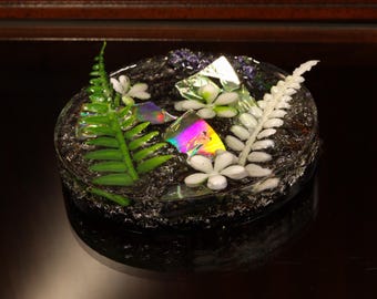 Frostbloom Alien Terrarium | E.T.: Exo-Terrarium Resin Art