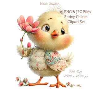 May include: A watercolor illustration of a fluffy yellow chick holding a pink flower. The chick has rosy cheeks and is wearing a floral patterned garment. Text on the image reads "19 PNG & JPG Files Spring Chicks Clipart Set".