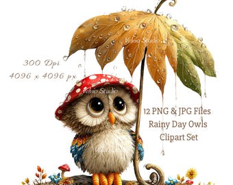 Skurril Eule unter Blatt Clipart Set: Regnerischer Tag Illustrationen, 12 PNG & JPG (Digital Printable)
