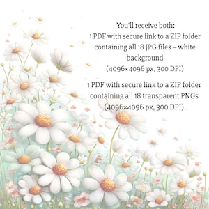Peut inclure: Illustration num&eacute;rique de marguerites blanches avec des centres jaunes et des tiges vertes. L'image comprend le texte : "Vous recevrez les deux : 1 PDF avec un lien s&eacute;curis&eacute; vers un dossier ZIP contenant les 18 fichiers JPG - fond blanc (4096x4096 px, 300 DPI) et 1 PDF avec un lien s&eacute;curis&eacute; vers un dossier ZIP contenant les 18 PNG transparents (4096x4096 px, 300 DPI)."