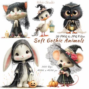Puede incluir: Ilustración digital de seis Soft Gothic Animals. La imagen muestra un gato, un pato, un búho, un conejo y un ratón, todos con atuendos góticos. La imagen también incluye una calabaza, un fantasma y el texto "Soft Gothic Animals".