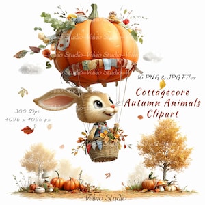 May include: A digital illustration of a rabbit in a basket attached to a large orange pumpkin hot air balloon. The text reads 16 PNG & JPG Files, Cottagecore Autumn Animals Clipart, 300 Dpi, 4096 x 4096 px, and Velvio Studio. Autumn trees and pumpkins are below.