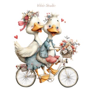 Op de afbeelding: Een grillige illustratie van twee witte eenden op een tandemfiets. De eend vooraan draagt een blauw jasje en rode stippelschoenen, de andere een bloemenjurk. Een mand met bloemen staat op het stuur, met harten in de lucht.