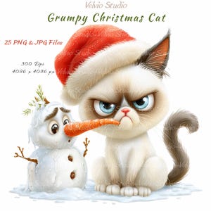 Pode incluir: Uma ilustração digital de um gato rabugento com um gorro de Pai Natal vermelho, sentado ao lado de um pequeno boneco de neve. O gato tem pelo claro e olhos azuis. Texto: Velvio Studio, Grumpy Christmas Cat, 25 PNG & JPG Files, 300 Dpi, 4096 x 4096 px.
