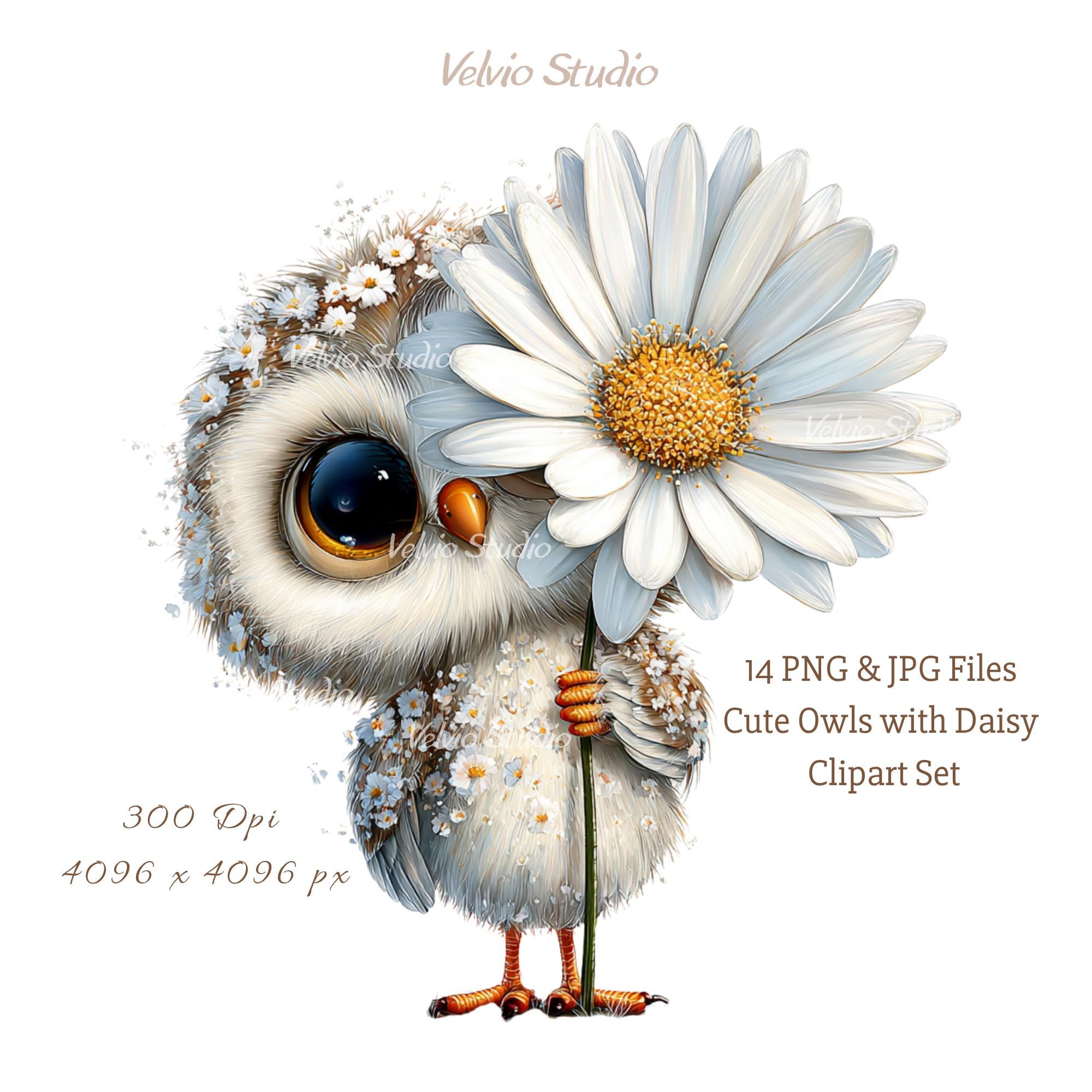 Whimsical Owl with Daisy Clipart Set: Pastel Floral Illustrations, 14 PNG & JPG (Digital Printab