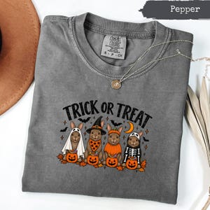 May include: A pepper-colored t-shirt featuring a graphic of four rabbits in Halloween costumes with the text TRICK OR TREAT. The rabbits are dressed as a ghost, a witch, a pumpkin, and a skeleton, each holding a jack-o'-lantern bucket.
