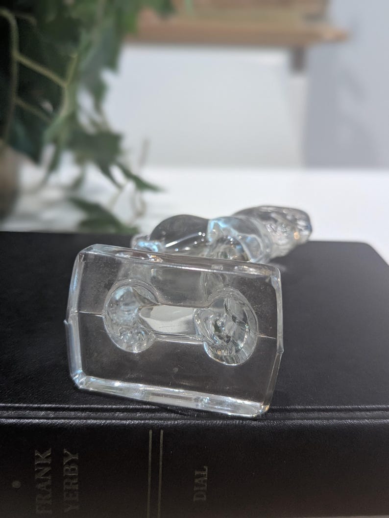 May include: A clear glass figurine of a reclining animal, possibly a cat or dog, atop a rectangular base. The base has two circular indentations. The figurine is on a dark surface, with a blurred background of greenery and a white wall.