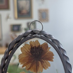May include: Oval-shaped, pressed flower display with a silver-toned, braided metal frame. The frame surrounds a clear glass pane showcasing a dried, golden-brown flower and other botanical elements. A small ring is at the top for hanging.