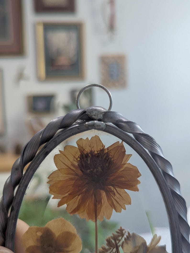 May include: Oval-shaped, pressed flower display with a silver-toned, braided metal frame. The frame surrounds a clear glass pane showcasing a dried, golden-brown flower and other botanical elements. A small ring is at the top for hanging.