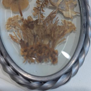 May include: An oval-shaped framed pressed flower arrangement. The frame is silver with a twisted rope design. The dried flowers are various shades of brown and tan, with some hints of blue. The arrangement is encased in glass.