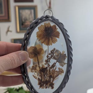 May include: An oval-shaped pressed flower art piece. The artwork features dried flowers in shades of brown and tan, encased in clear glass. The frame is a dark, braided metal with a silver loop for hanging. The background is a soft, neutral color.
