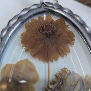 May include: An oval-shaped, pressed-flower art piece. The artwork features a large, dried, brown flower at the center, with other dried flowers in shades of yellow and brown. The flowers are encased in clear glass, framed by a silver-colored metal with a twisted rope design.