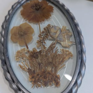 May include: An oval-shaped, pressed flower art piece. The artwork features dried flowers in shades of brown and tan, encased in glass. The frame is a twisted, silver-colored metal. The flowers are arranged in a natural, botanical style.