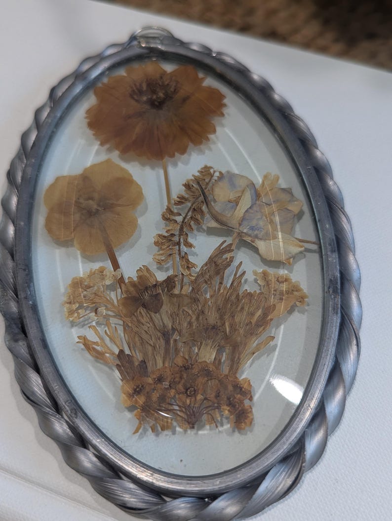 May include: An oval-shaped, pressed flower art piece. The artwork features dried flowers in shades of brown and tan, encased in glass. The frame is a twisted, silver-colored metal. The flowers are arranged in a natural, botanical style.
