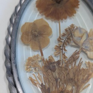 May include: Oval-shaped framed artwork featuring dried flowers in shades of brown and tan. The flowers are encased in clear glass, with a silver-colored, twisted metal frame. The arrangement includes a large, round flower and various smaller blooms.