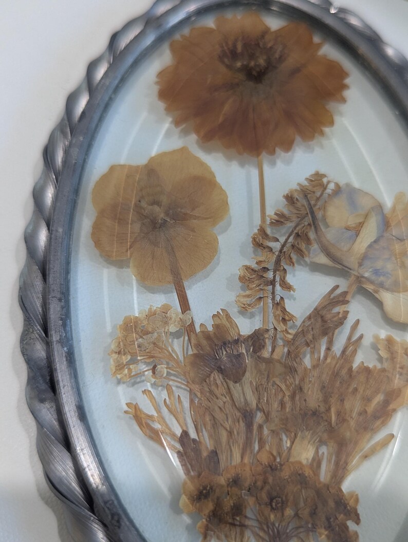May include: Oval-shaped framed artwork featuring dried flowers in shades of brown and tan. The flowers are encased in clear glass, with a silver-colored, twisted metal frame. The arrangement includes a large, round flower and various smaller blooms.