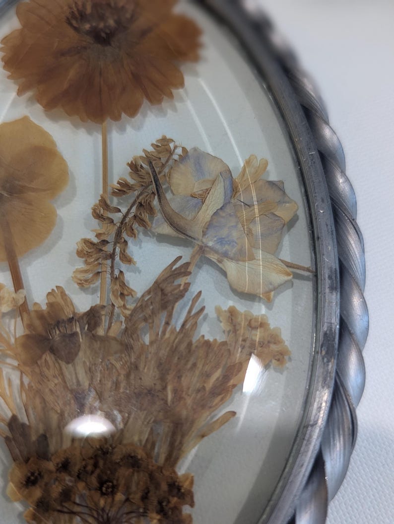 May include: Oval-shaped pressed flower art piece. The artwork features dried flowers in shades of brown, beige, and light blue, encased in glass. The frame is a twisted metal design.