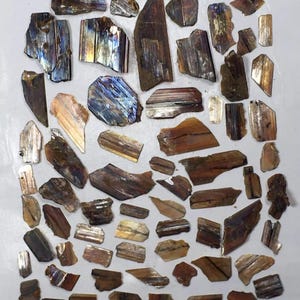 Puede incluir: Una colección de especímenes minerales iridiscentes, que muestran una gama de colores que incluyen marrón, dorado y azul. Las piezas varían en tamaño y forma, algunas mostrando una estructura cristalina en capas. Los minerales están dispuestos sobre una superficie clara.