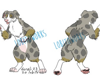 Adoptable Furry Australian Shepherd Dog Character -  Tux