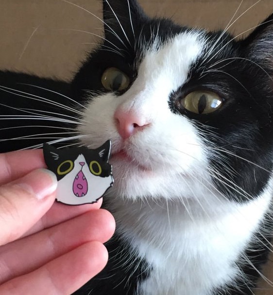 Wholesale Tuxedo Cat Pins by the Dozen