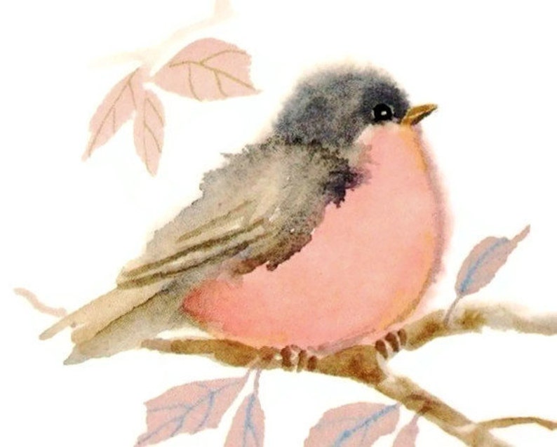 Pastel Pink Bird Print Watercolor Painting Etsy